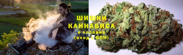 прущая мука Богданович